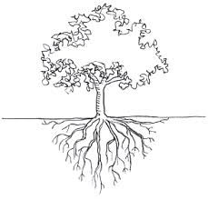 229x220 Image Result For Sketch Of Tree With Roots Family Tree - Tree Roots Sketch