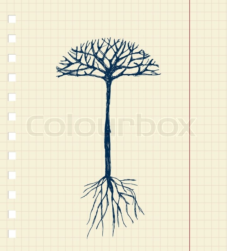 723x800 Sketch Tree With Roots For Your Design Stock Vector Colourbox - Tree Roots Sketch