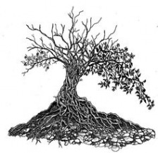 224x217 Tree Of Life Roots Tattoo Idea Pictures Luxury Tree Roots Sketch - Tree Roots Sketch