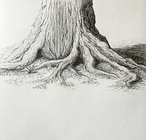 300x287 Tree Roots Drawings - Tree Roots Sketch