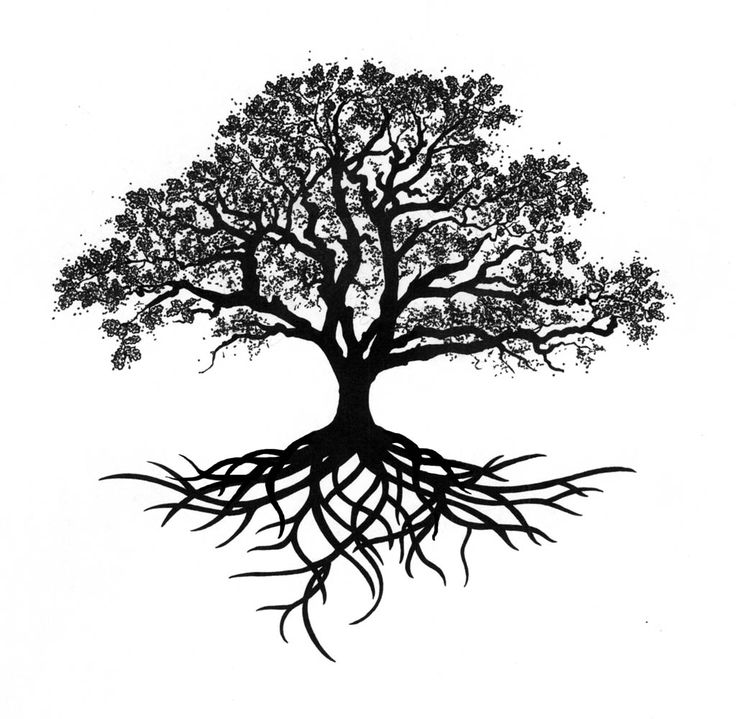 736x719 Tree Roots Tattoo Black Amazing Tree Roots Design Sketch - Tree Roots Sketch