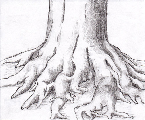 500x413 Cernunnos - Tree Roots Sketch
