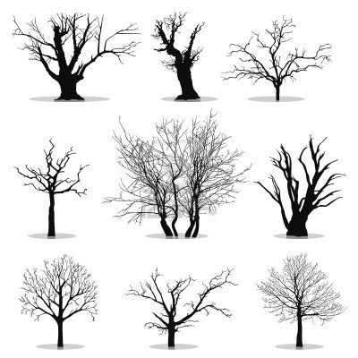 400x400 Drawn Dead Tree Effective - Tree Silhouette Sketch