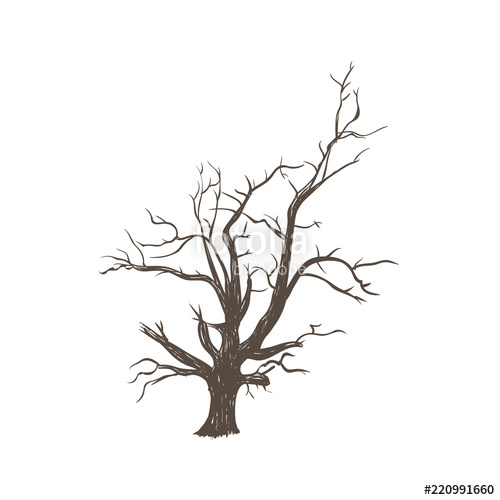 500x500 Dry Wood Tree. The Dry Old Tree. Silhouette Of A Tree Hand Drawing - Tree Silhouette Sketch