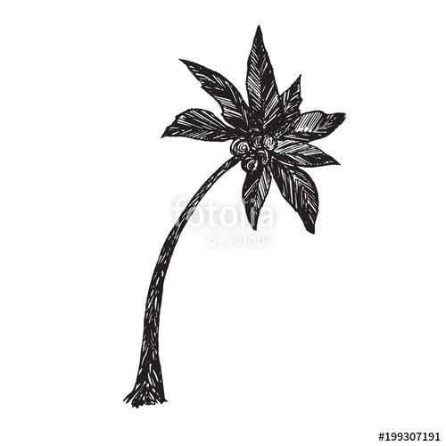 500x500 Palm Tree Silhouette, Hand Drawn Doodle, Sketch In Pop Art Style - Tree Silhouette Sketch