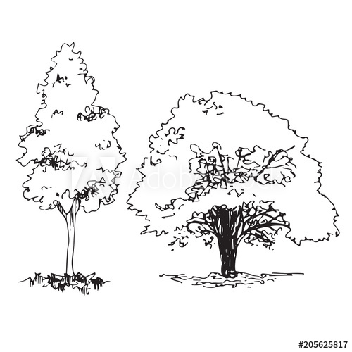500x500 Set Of Hand Drawn Architect Trees, Sketch Tree Silhouette - Tree Silhouette Sketch