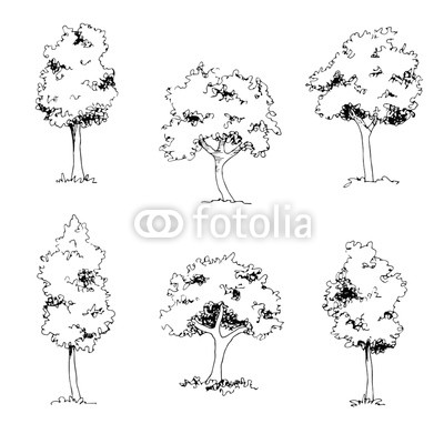 400x400 Set Of Hand Drawn Architect Trees, Tree Silhouette, Dendrology - Tree Silhouette Sketch