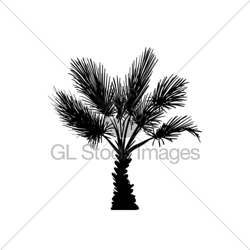 500x500 Sketch Palm Tree. Hand Drawn Silhouette Palm Tree Gl Stock Images - Tree Silhouette Sketch