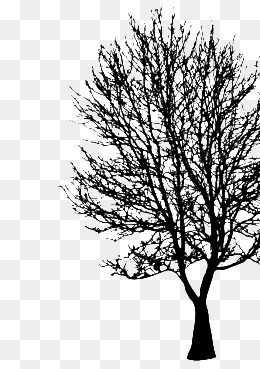 260x369 Sketch Tree Png Images Vectors And Psd Files Free Download On - Tree Silhouette Sketch