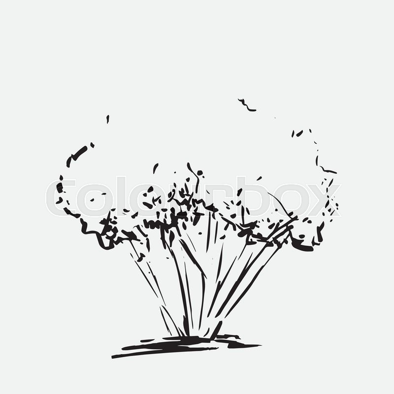 800x800 Stylized Tree. Hand Drawn. Black Tree Sketch Silhouette Isolated - Tree Silhouette Sketch