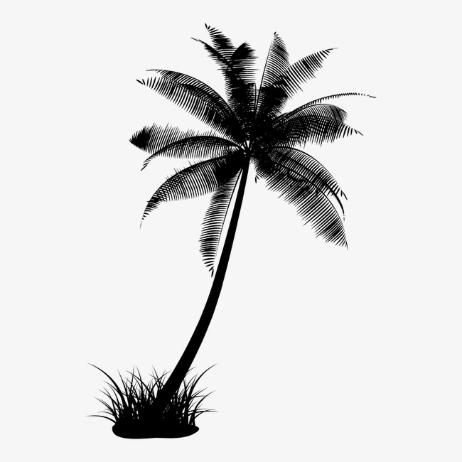 650x650 Coconut Tree Silhouette Coconut Trees Silhouette Coco Black And - Tree Silhouette Sketch