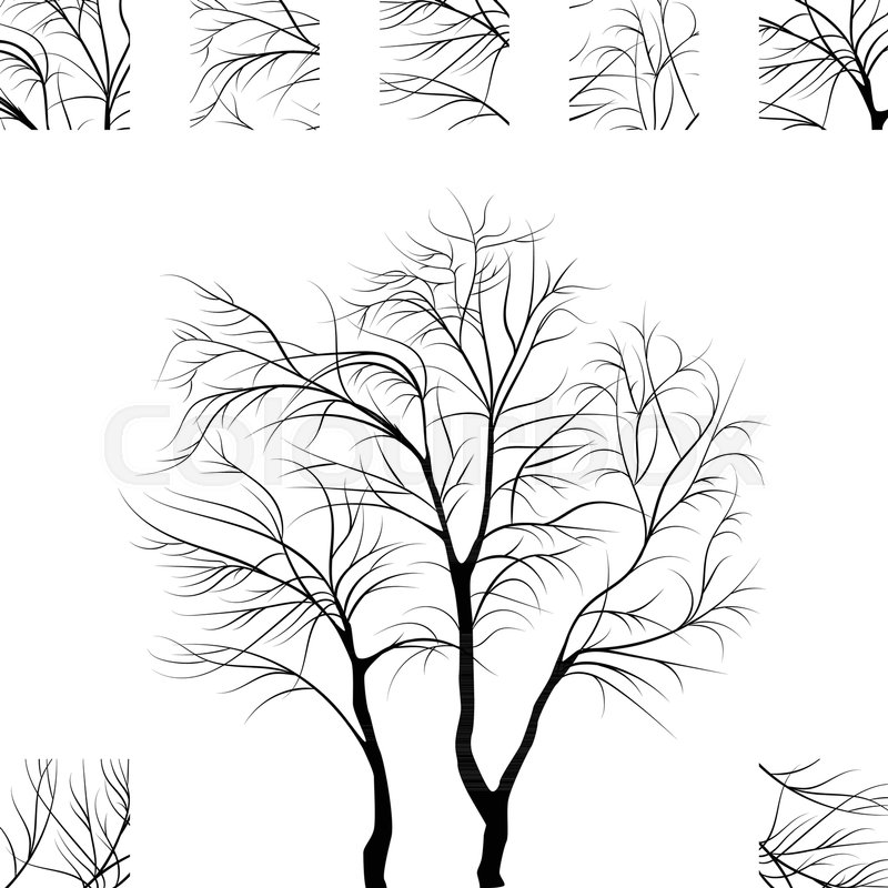 800x800 Black Tree Silhouette Isolated. Old Style Vector Ink Drawing Or - Tree Silhouette Sketch