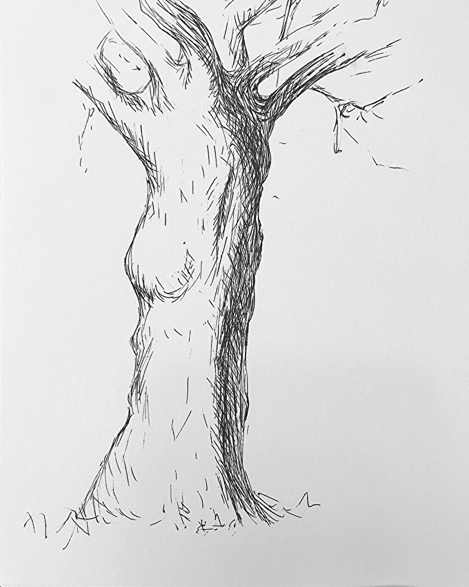 680x850 Lisa Mistiuk - Tree Sketch