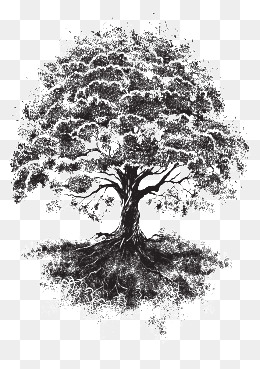 260x369 Sketch Tree Png Images Vectors And Psd Files Free Download On - Tree Sketch
