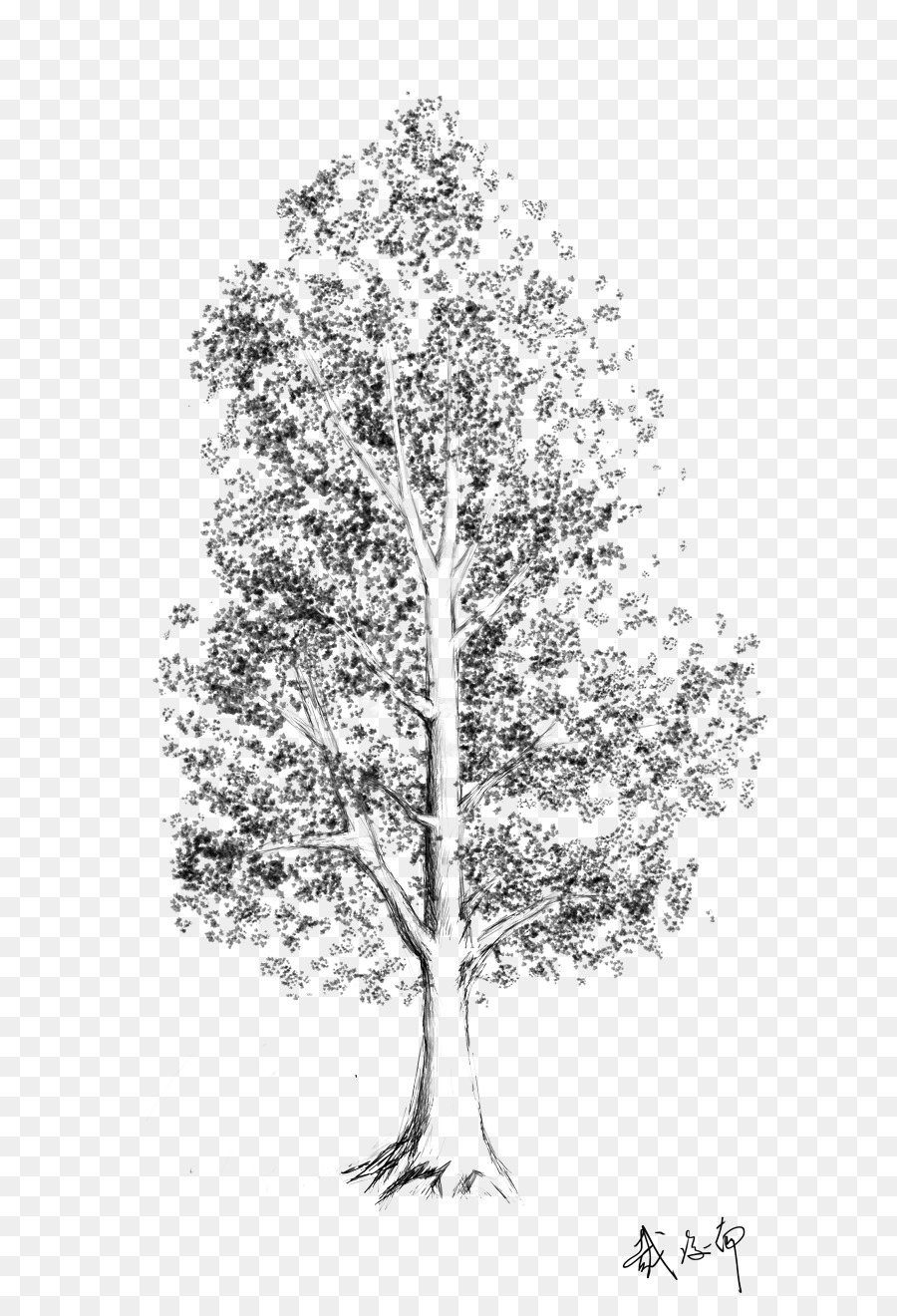 900x1320 Tree Birch Woody Plant Leaf - Tree Sketch
