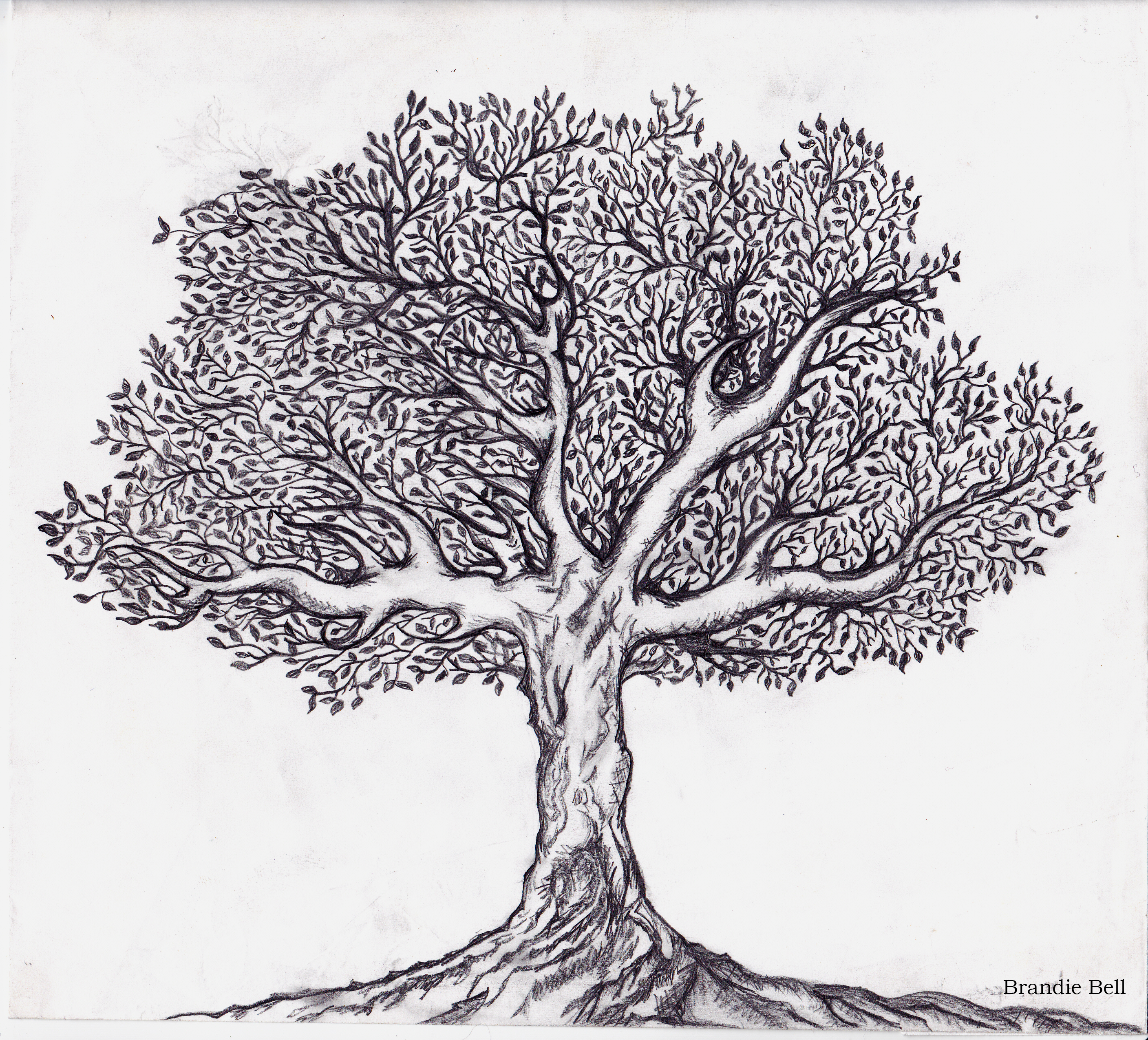 Journaling Paintings Search Result At PaintingValley Com   Tree Sketch 3 