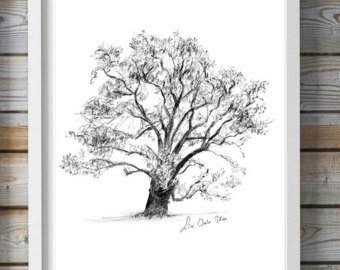 340x270 Tree Art Etsy - Tree Sketch Art