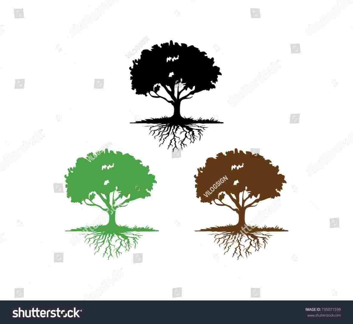 1185x1086 Oak Tree Sketch Clipart All About Clipart - Tree Sketch Clip Art