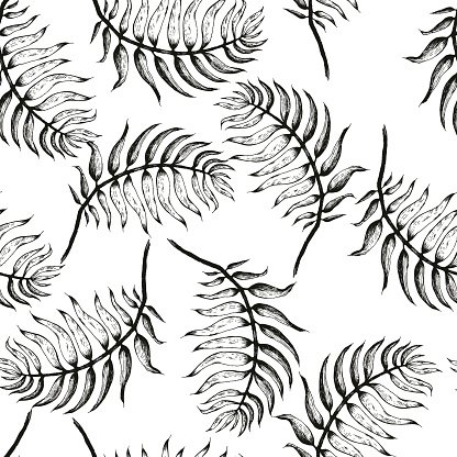 416x416 Palm Tree Sketch A Premium Clipart - Tree Sketch Clip Art