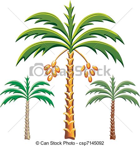 450x470 Sketch Clipart Palm Tree - Tree Sketch Clip Art