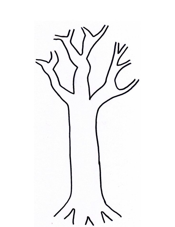 736x952 Tree Trunk Sketch Clipart - Tree Sketch Clip Art