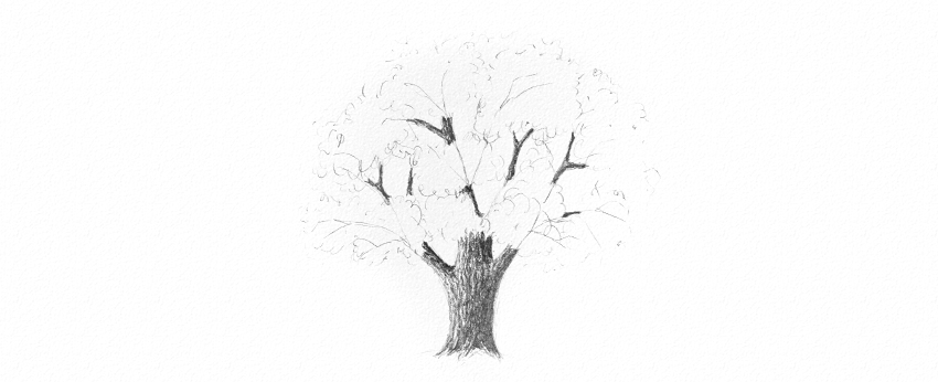 850x346 How To Draw Trees - Tree Sketch Drawing