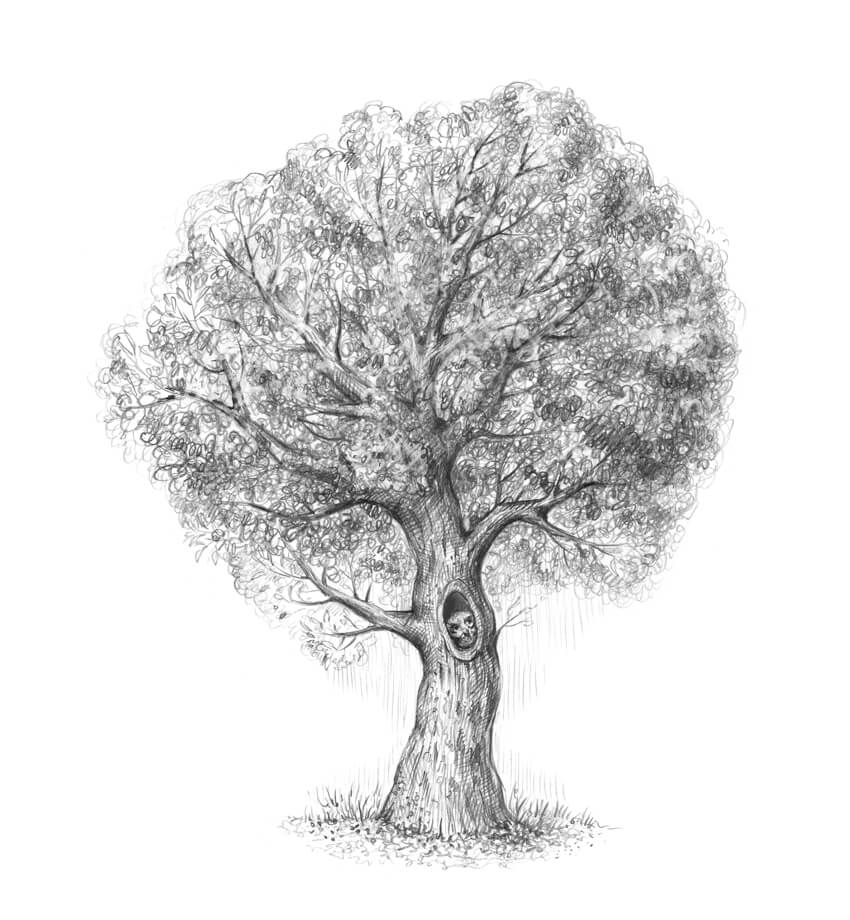 850x920 How To Draw A Tree - Tree Sketch Drawing