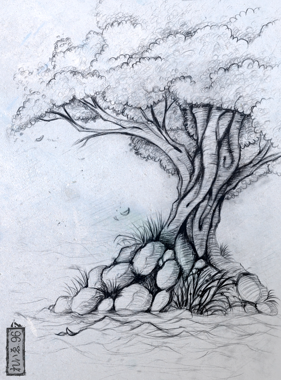900x1215 Trees Drawings Coba Cobaah - Tree Sketch Drawing