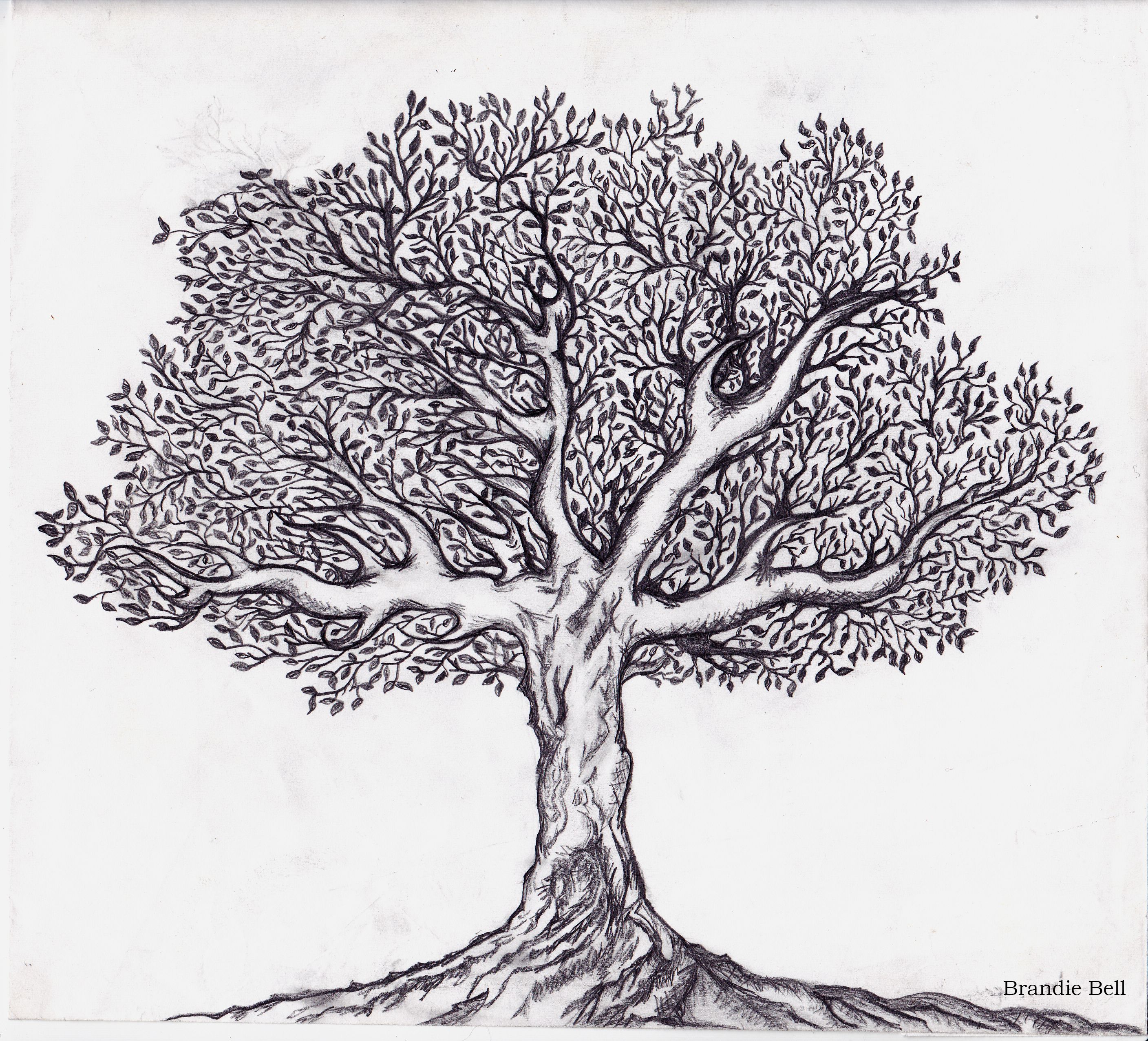 2816x2552 Tree Of Life Black And White Clipart - Tree Sketch Drawing