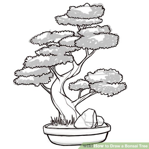 500x500 How To Draw A Bonsai Tree 8 Steps (With Pictures) - Tree Sketch Easy
