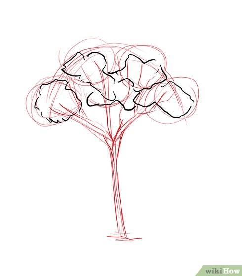 490x559 How To Draw A Gum Tree 8 Steps (With Pictures) - Tree Sketch Easy