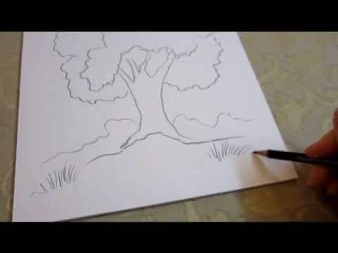 480x360 How To Draw A Tree - Tree Sketch For Kids