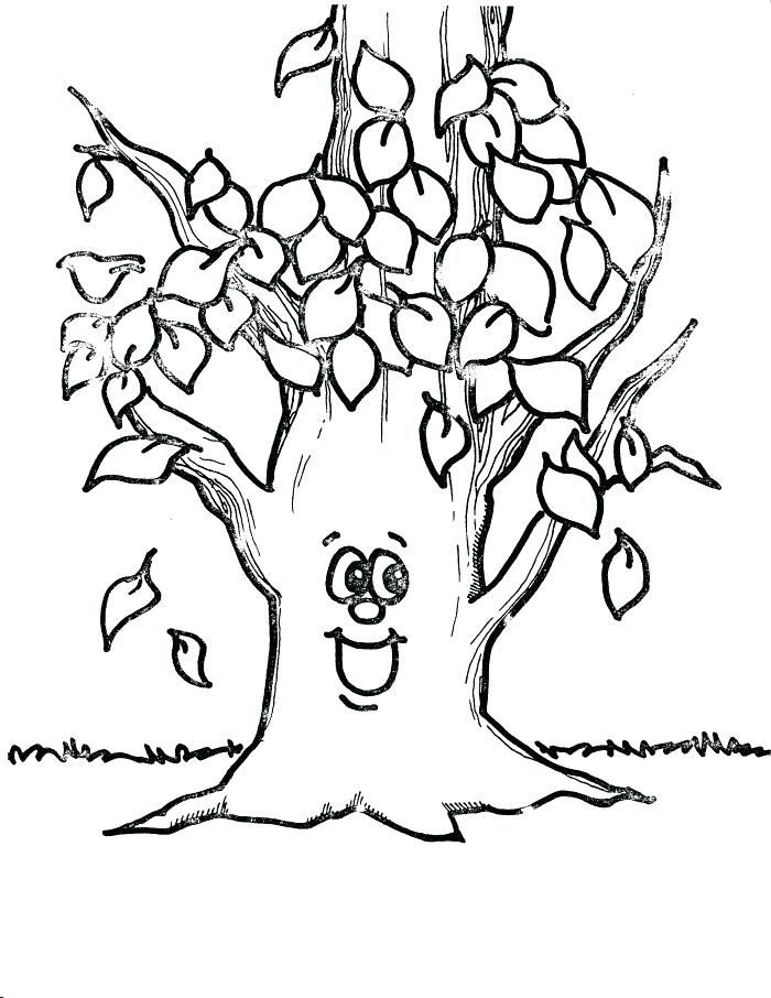 700x906 Tree Without Leaves Coloring Pages Fall Winter - Tree Sketch For Kids