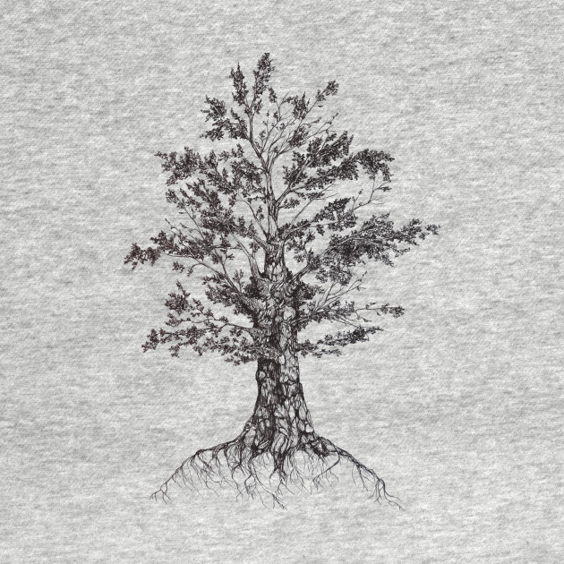 630x630 Tree Sketch - Tree Sketch For Kids