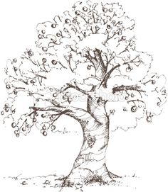 236x271 63 Best Art Tree Sketch Images - Tree Sketch Images