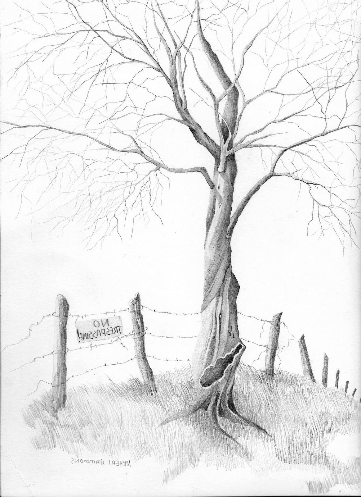 Easy Pencil Sketch Trees