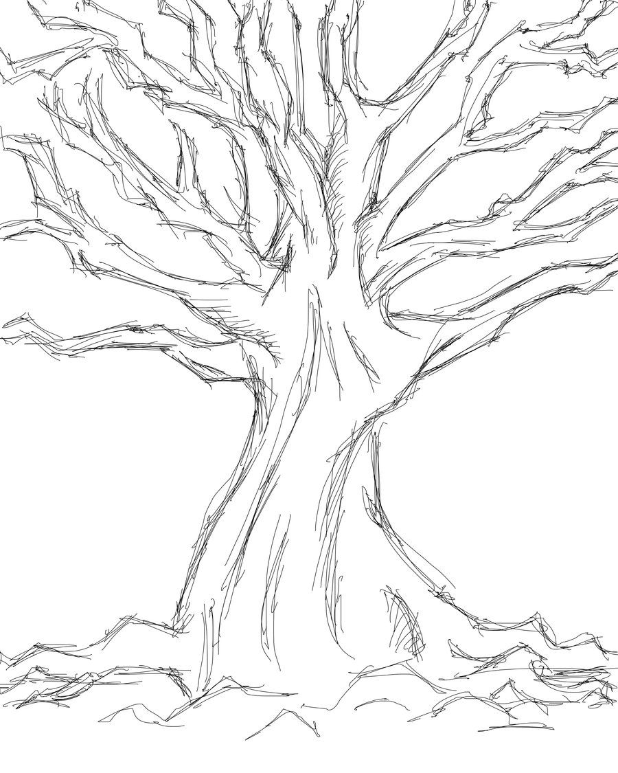 900x1125 Tree Sketches Drawing Plants Drawings, Sketches - Tree Sketch Simple