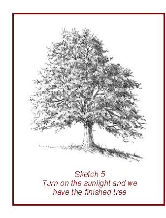 337x442 How To Draw Trees Quickly And Easily - Tree Sketch Step By Step