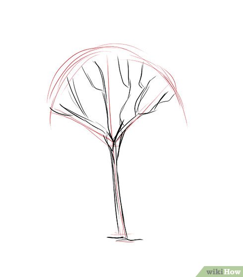 490x559 How To Draw A Gum Tree 8 Steps (With Pictures) - Tree Sketch Step By Step