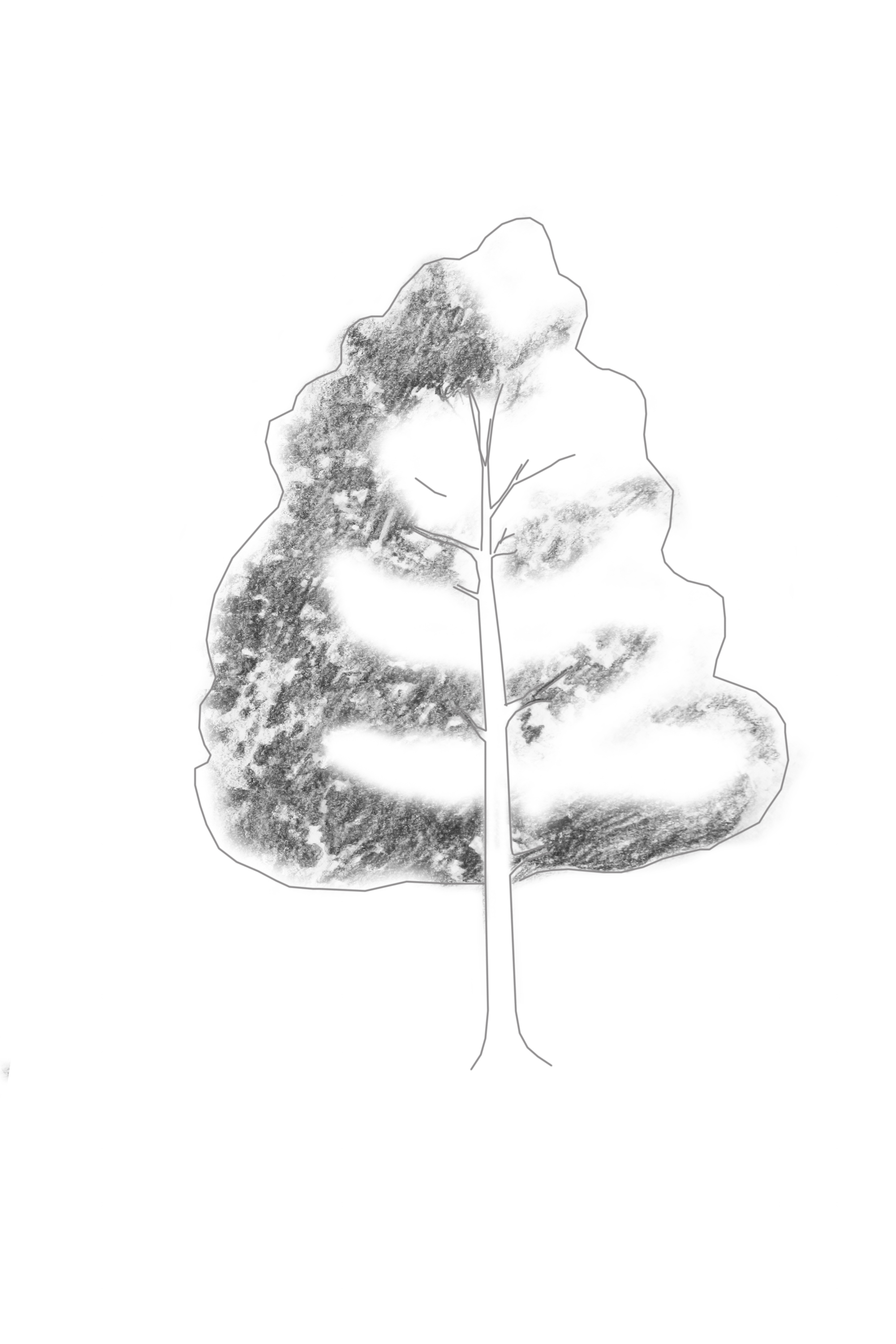 Tree Sketch Step By Step at Explore collection of