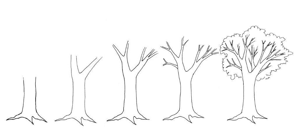 1015x460 Color Pencil Landscape Drawing - Tree Sketch Step By Step