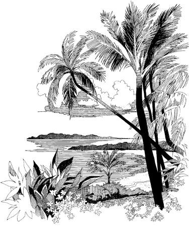 376x455 Stumped Over Super Easy Step By Step Instructions To Draw Trees - Tree Sketch Step By Step