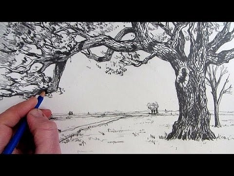 480x360 How To Draw A Tree Narrated Step By Step - Tree Sketch Step By Step