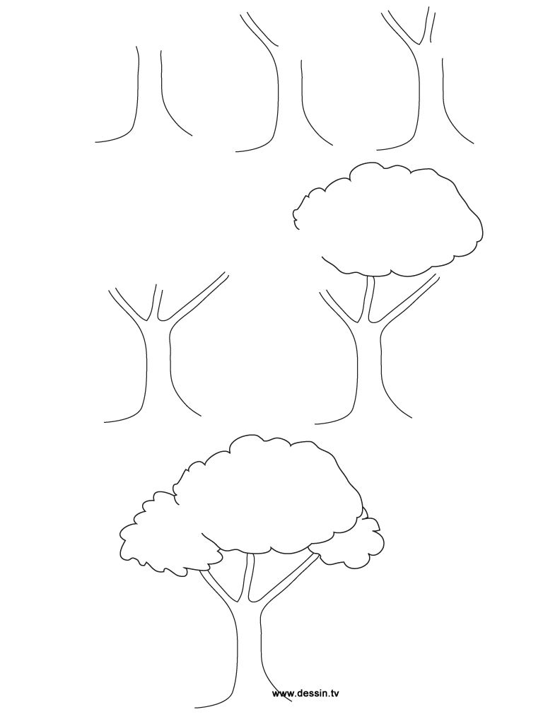 768x1024 How To Draw Trees Step By Easy Sketch Coloring - Tree Sketch Step By Step