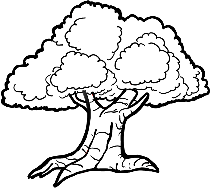700x624 How To Draw Cartoon Trees With Easy Step By Step Drawing Tutorial - Tree Sketch Step By Step