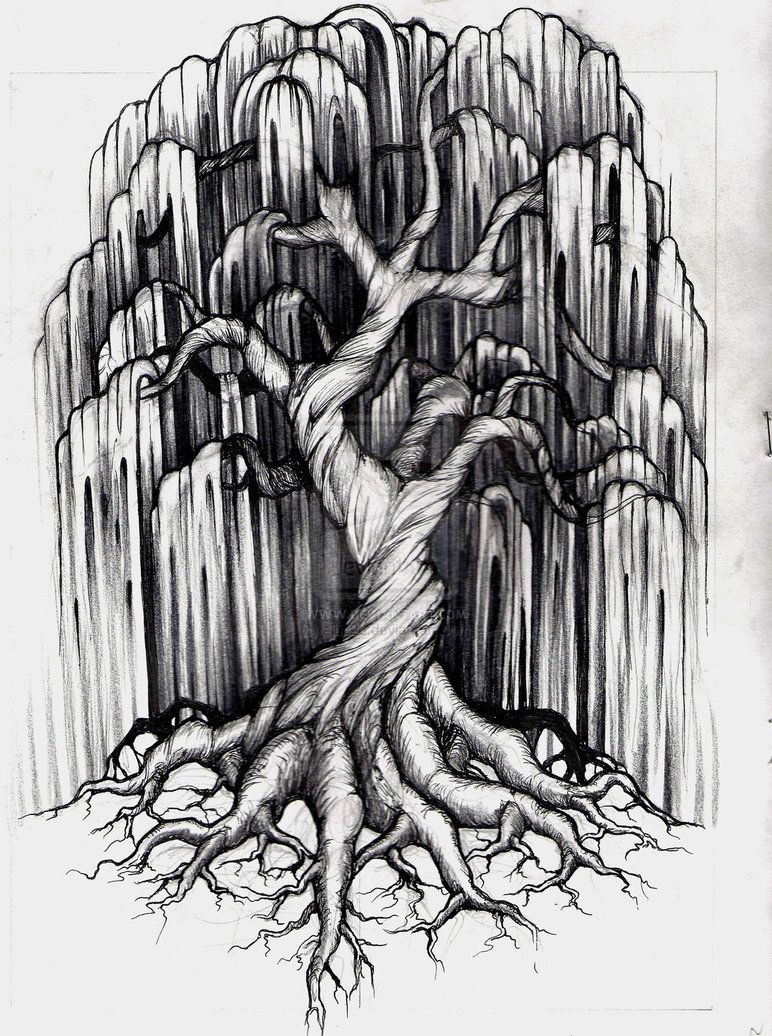 Line Drawing Tree Tattoo