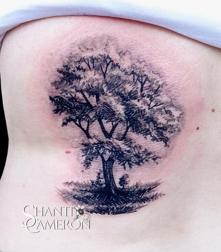 450x514 Tree Sketch By Shanti Tattoos - Tree Sketch Tattoo