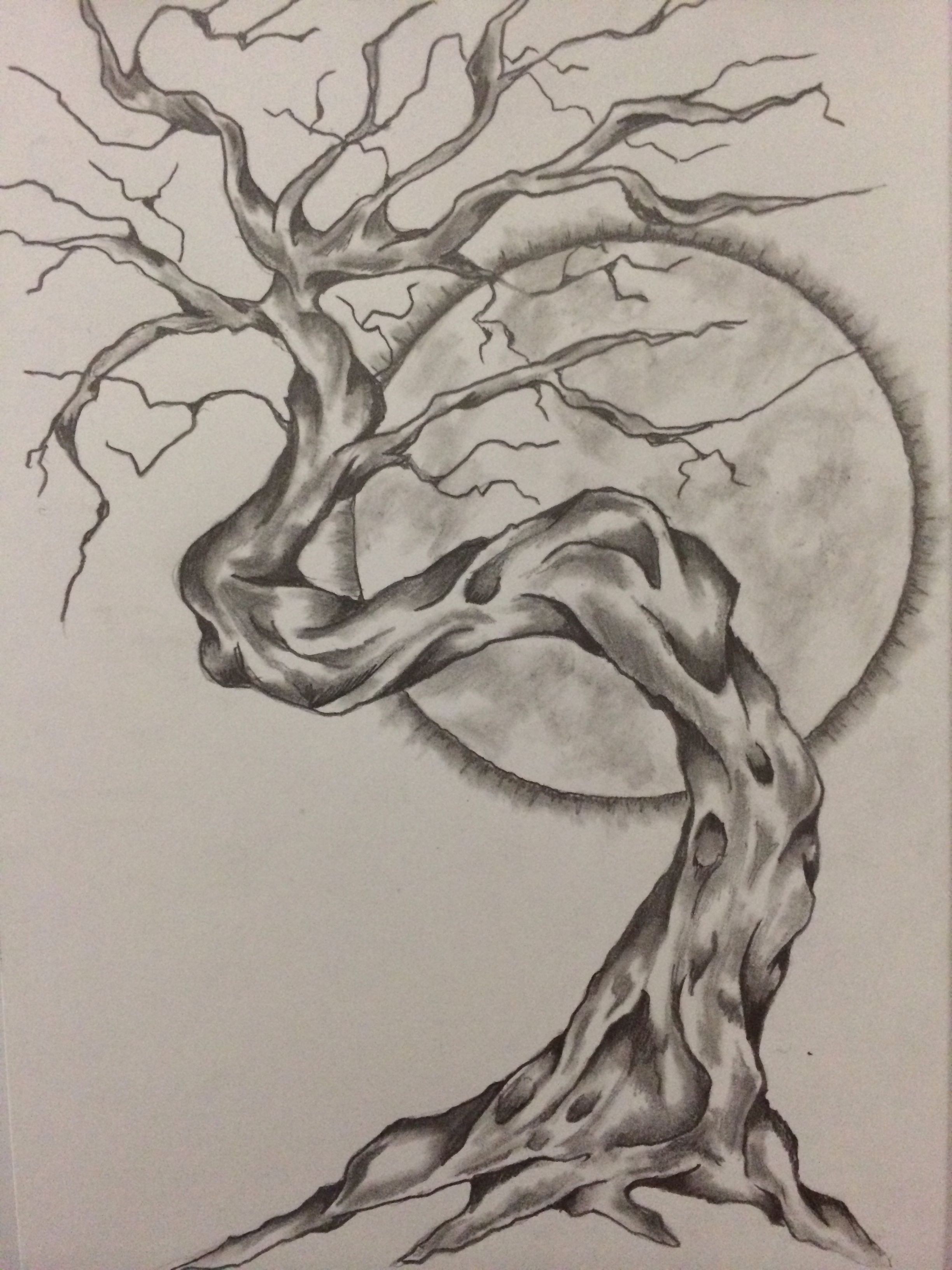 2448x3264 Tree Tattoo Sketch By - Tree Sketch Tattoo