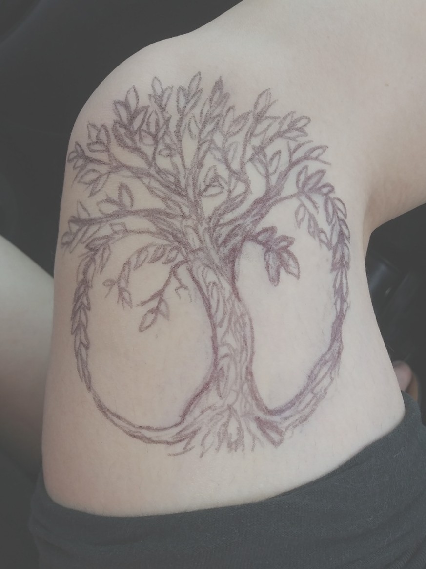 873x1164 Sara Cruse Pen Sketch Of A Tattoo I Want - Tree Sketch Tattoo