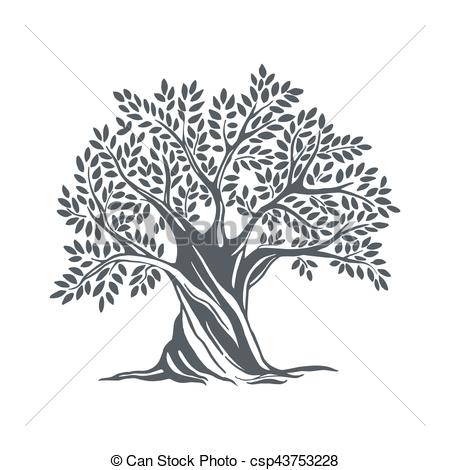 450x470 Hand Drawn Olive Sketch. Hand Drawn Olive Tree. Vector Sketch - Tree Sketch Vector